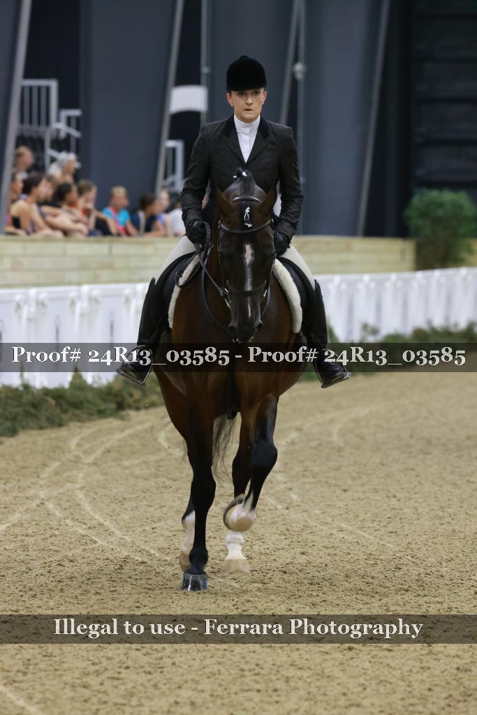 Proof 24R13_03585