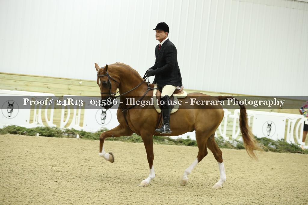 Proof 24R13_03586