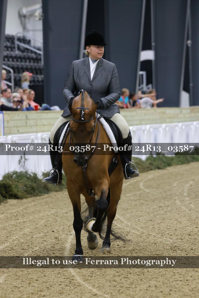 Proof 24R13_03587