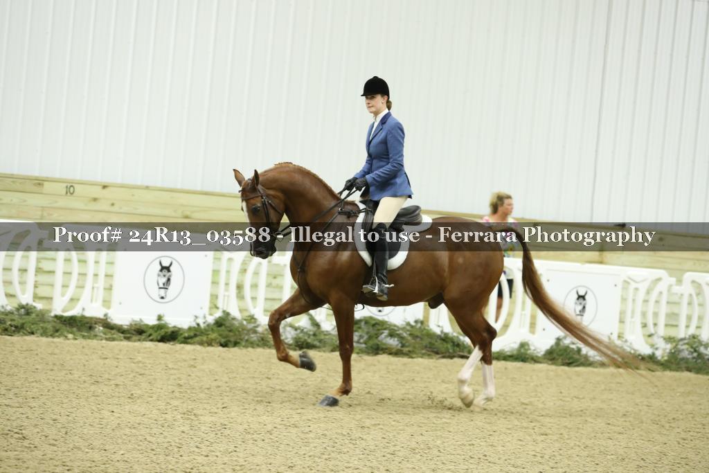 Proof 24R13_03588