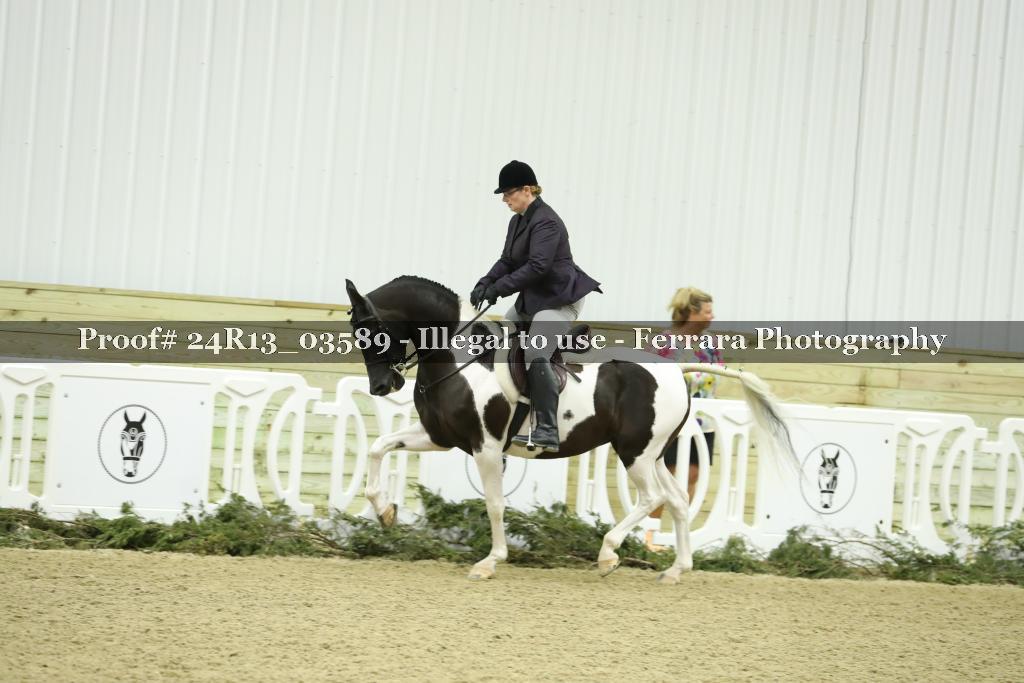 Proof 24R13_03589