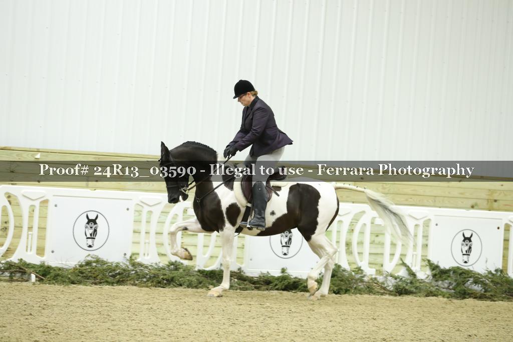 Proof 24R13_03590