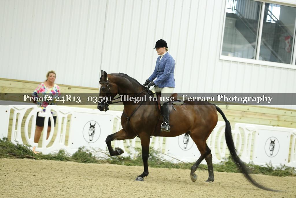 Proof 24R13_03591
