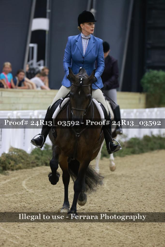 Proof 24R13_03592