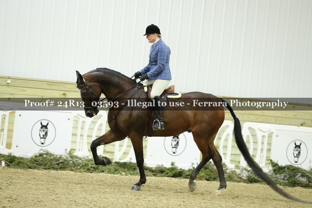 Proof 24R13_03593