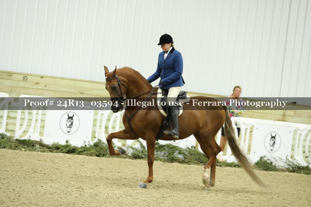 Proof 24R13_03594