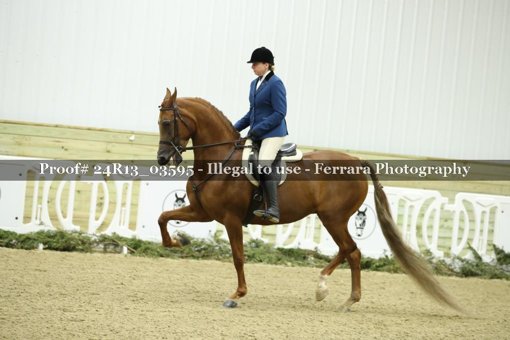 Proof 24R13_03595