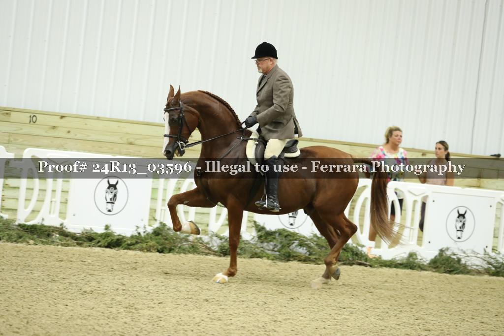 Proof 24R13_03596