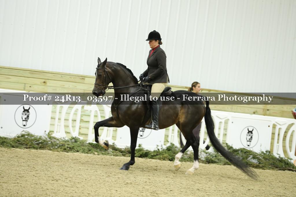 Proof 24R13_03597