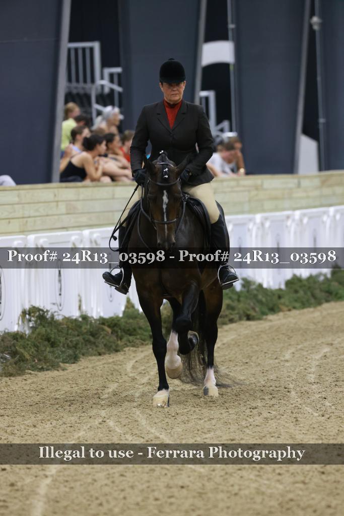 Proof 24R13_03598