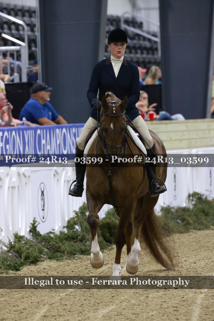 Proof 24R13_03599