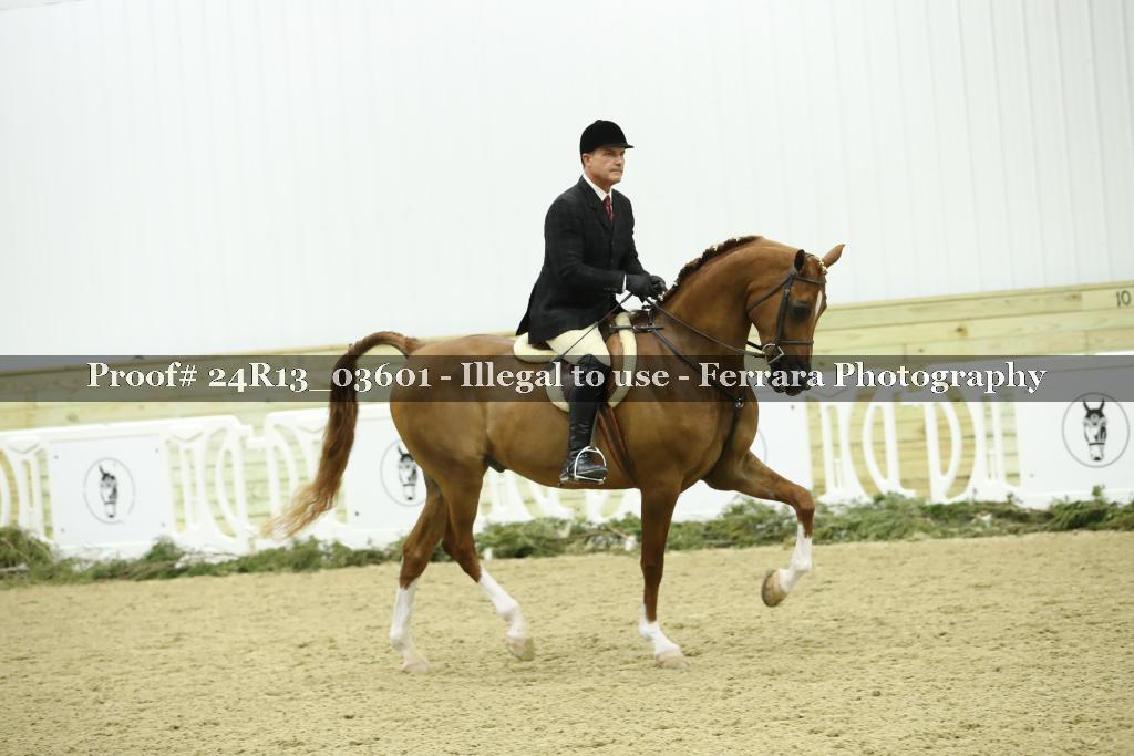 Proof 24R13_03601