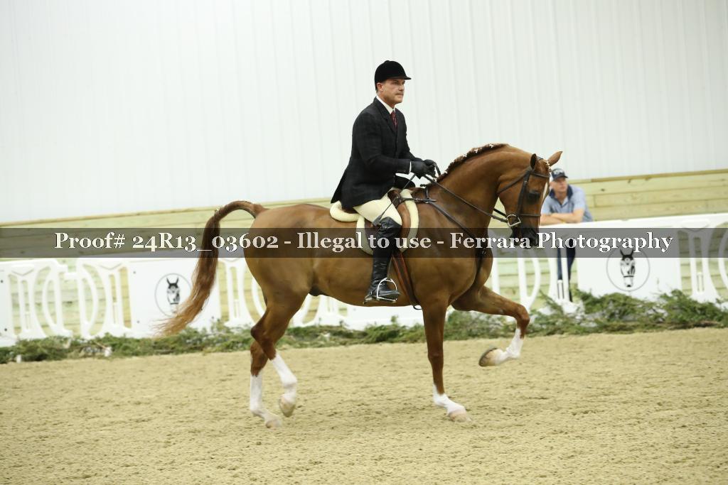 Proof 24R13_03602