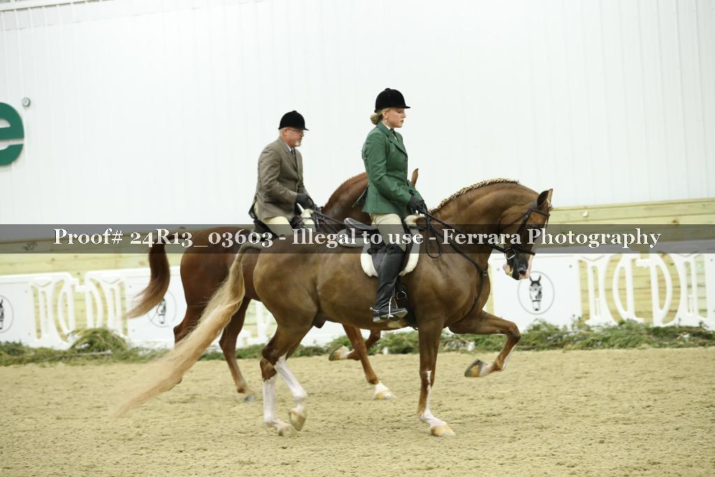 Proof 24R13_03603