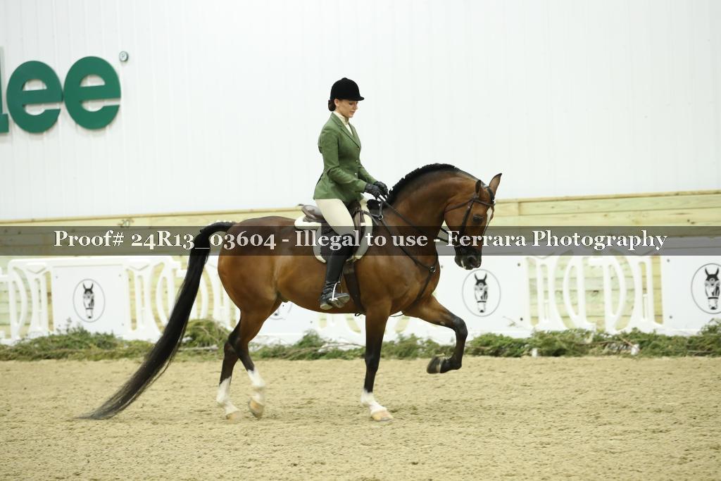 Proof 24R13_03604