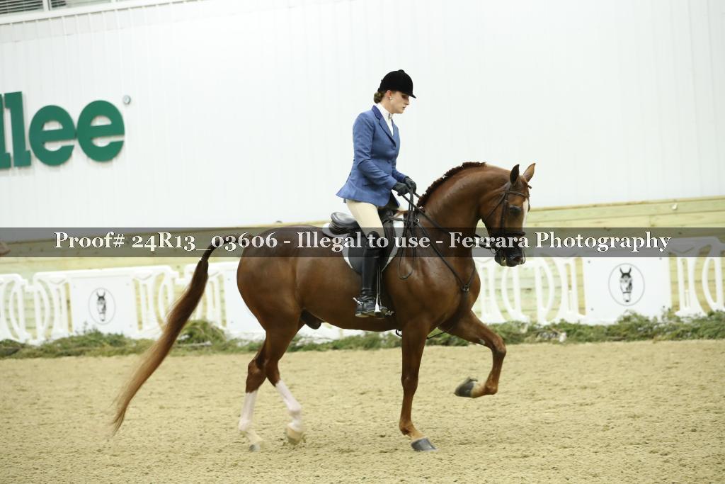 Proof 24R13_03606