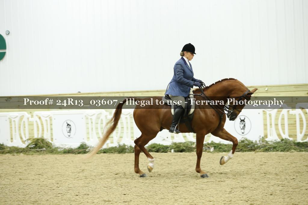 Proof 24R13_03607