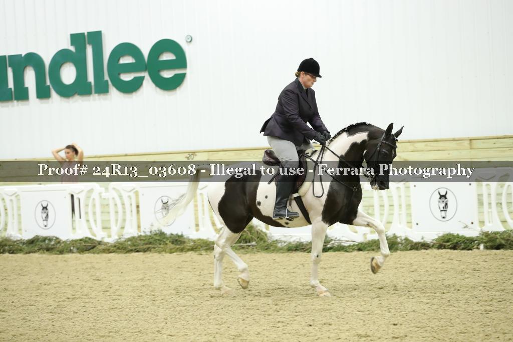 Proof 24R13_03608