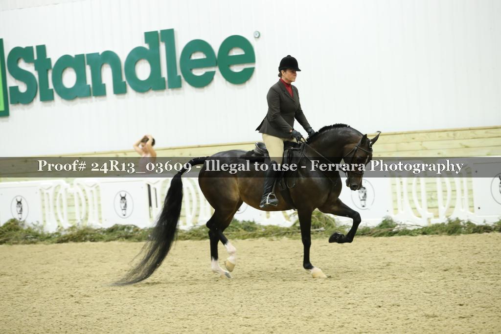 Proof 24R13_03609