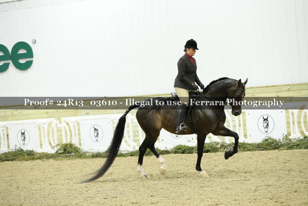Proof 24R13_03610