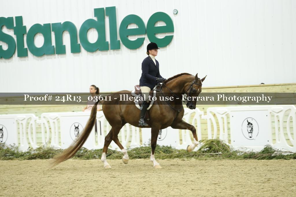 Proof 24R13_03611
