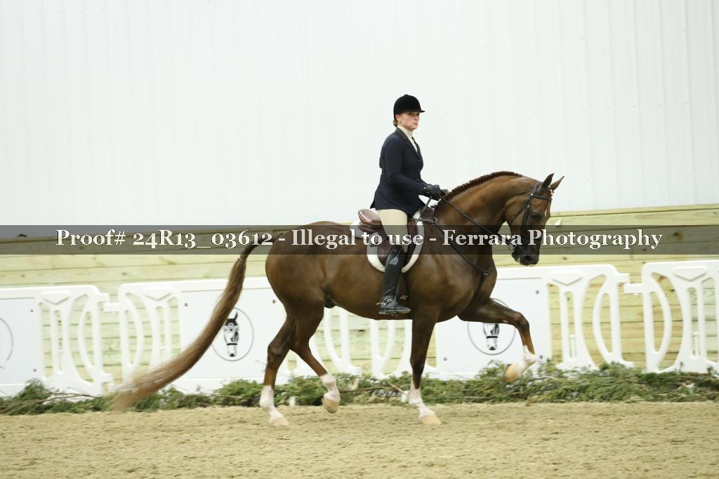 Proof 24R13_03612