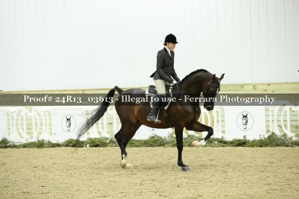 Proof 24R13_03613