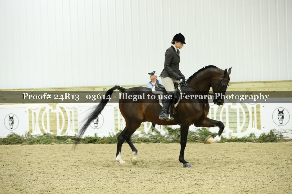 Proof 24R13_03614