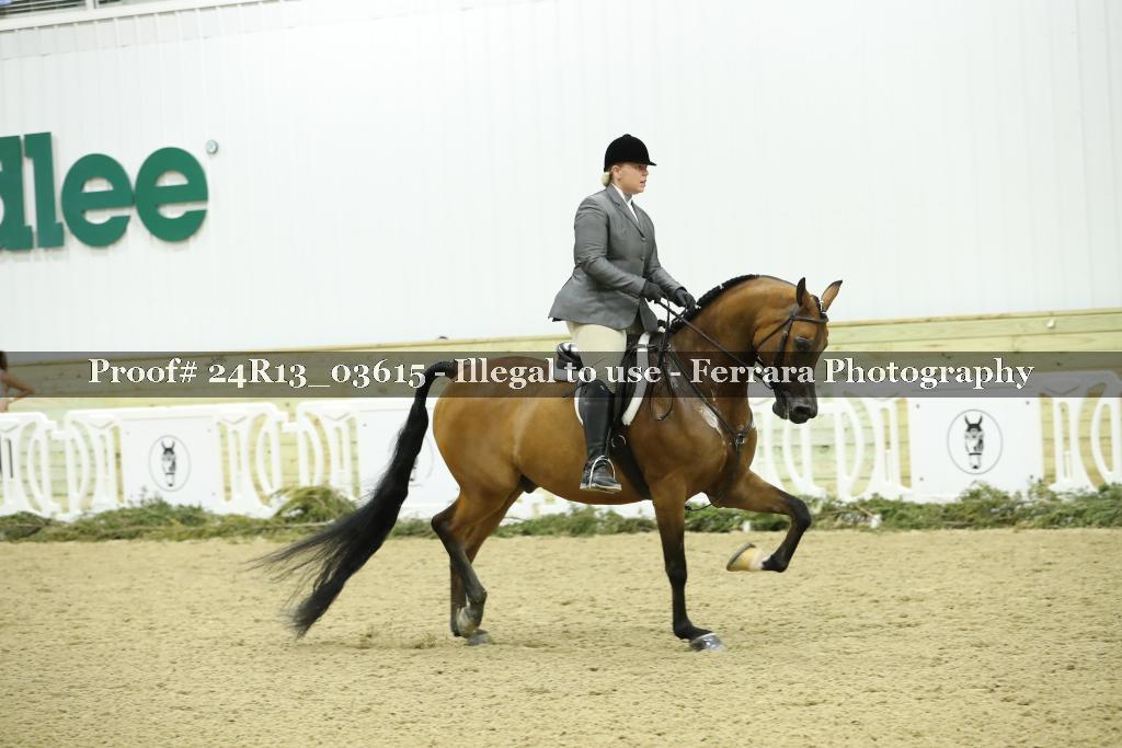 Proof 24R13_03615