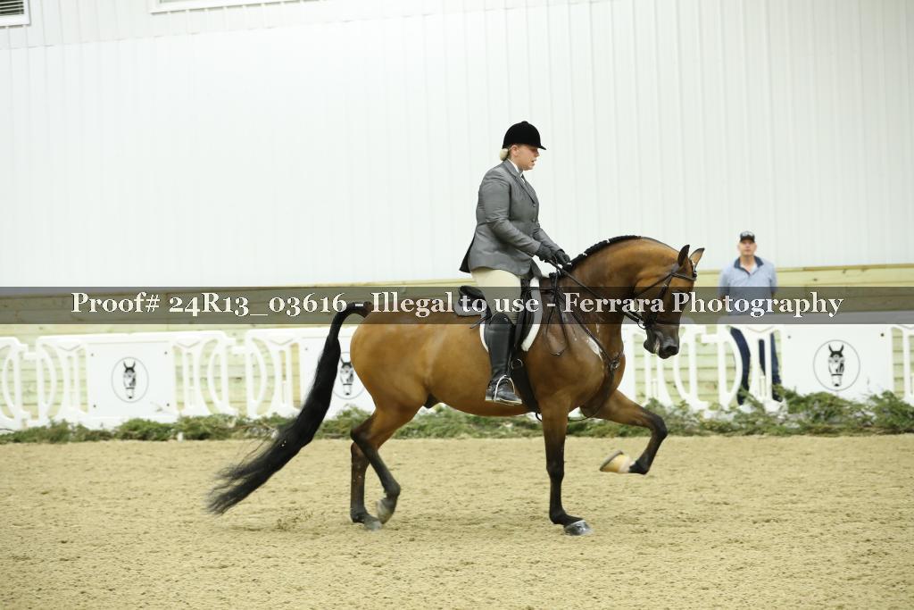Proof 24R13_03616