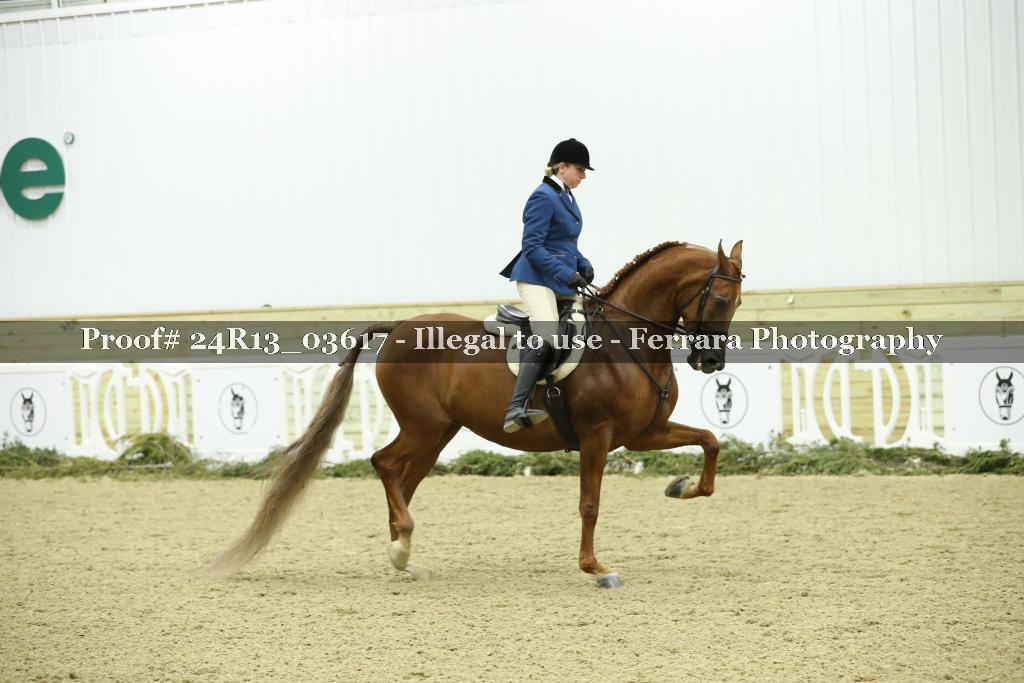 Proof 24R13_03617