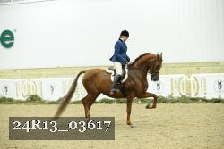 24R13_03617 proof