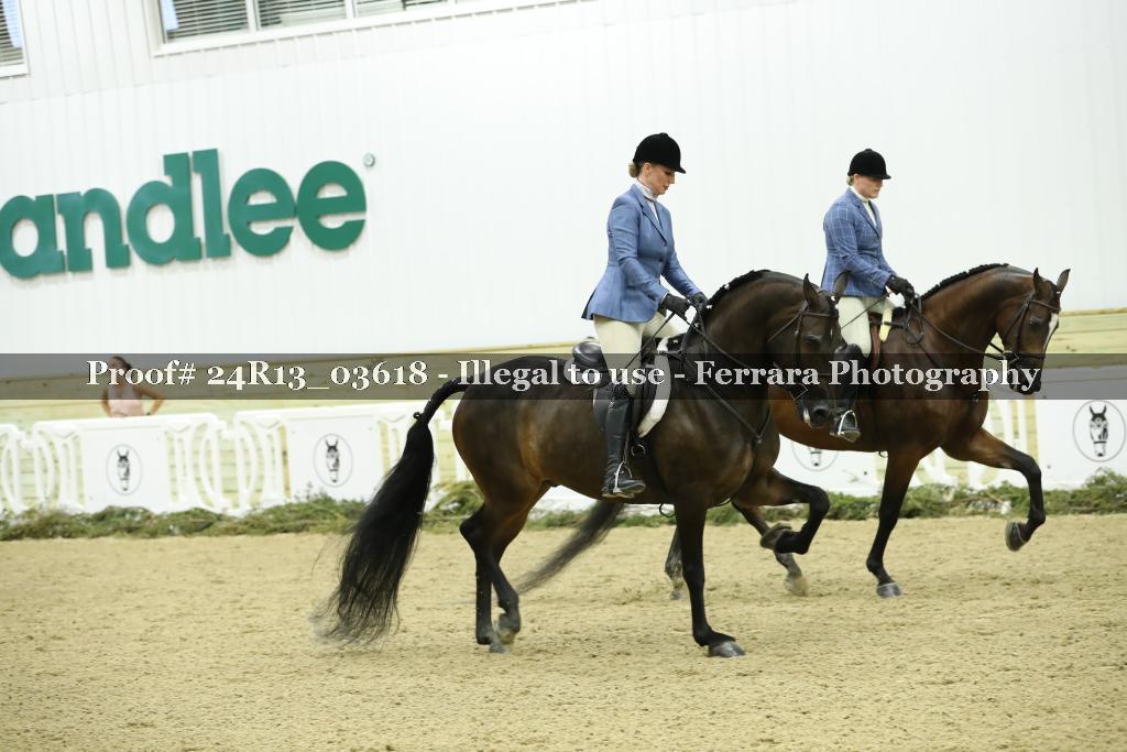 Proof 24R13_03618