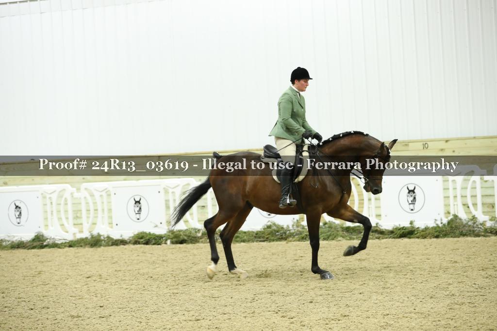 Proof 24R13_03619