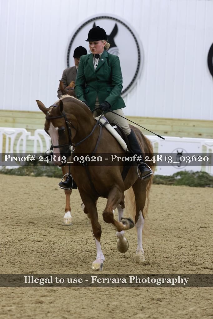 Proof 24R13_03620
