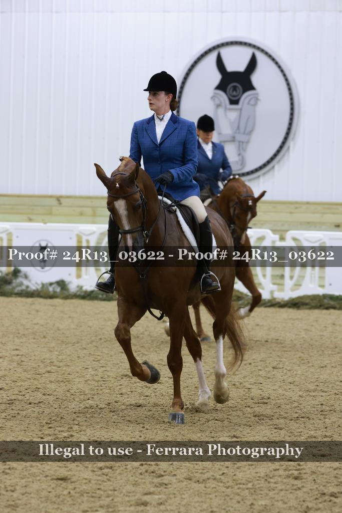 Proof 24R13_03622
