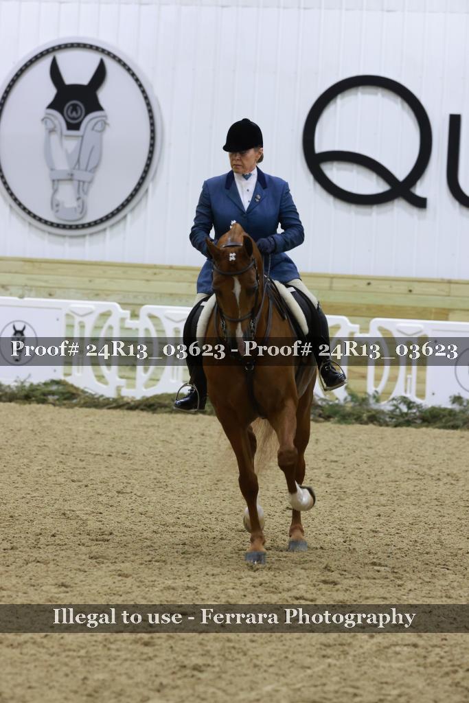 Proof 24R13_03623