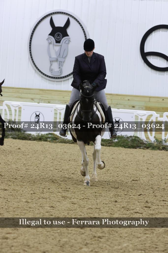 Proof 24R13_03624