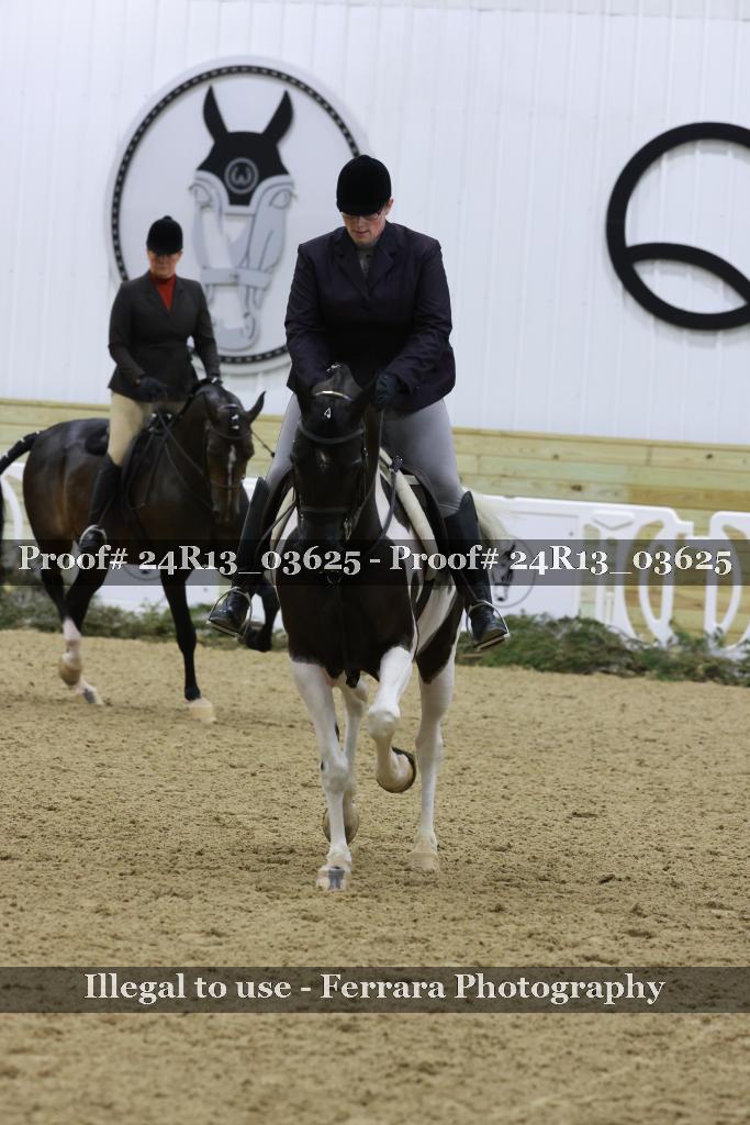 Proof 24R13_03625
