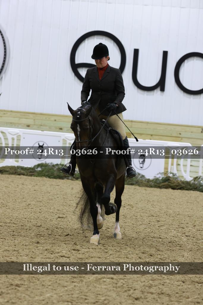 Proof 24R13_03626