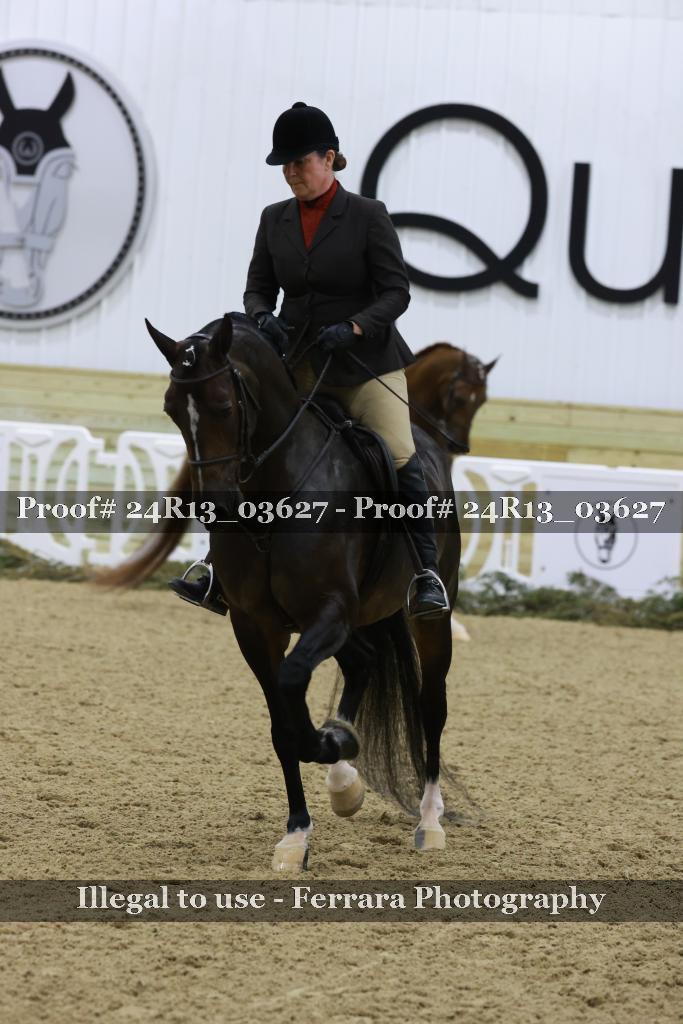 Proof 24R13_03627