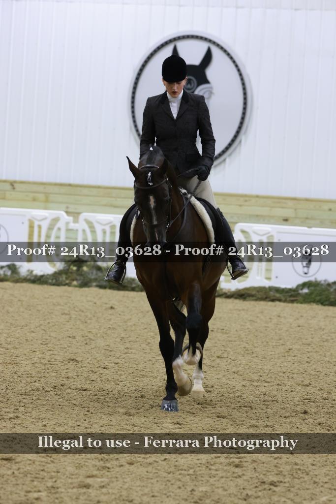 Proof 24R13_03628