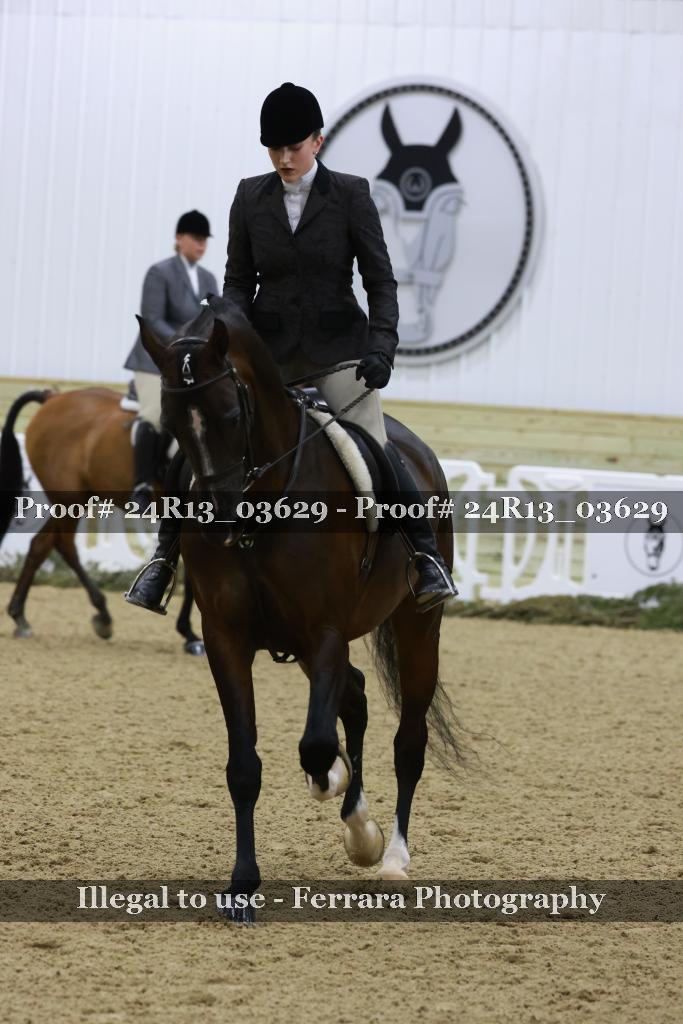 Proof 24R13_03629