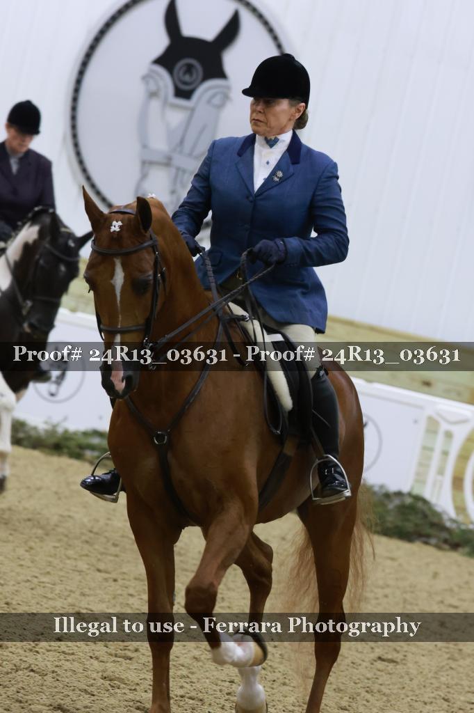 Proof 24R13_03631