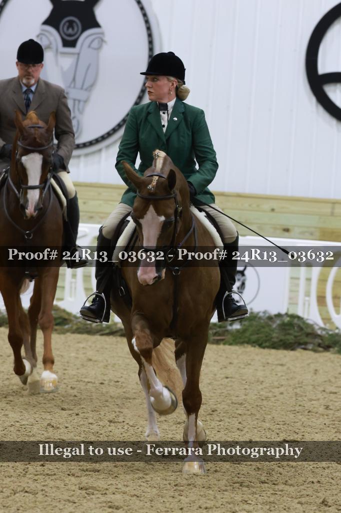 Proof 24R13_03632