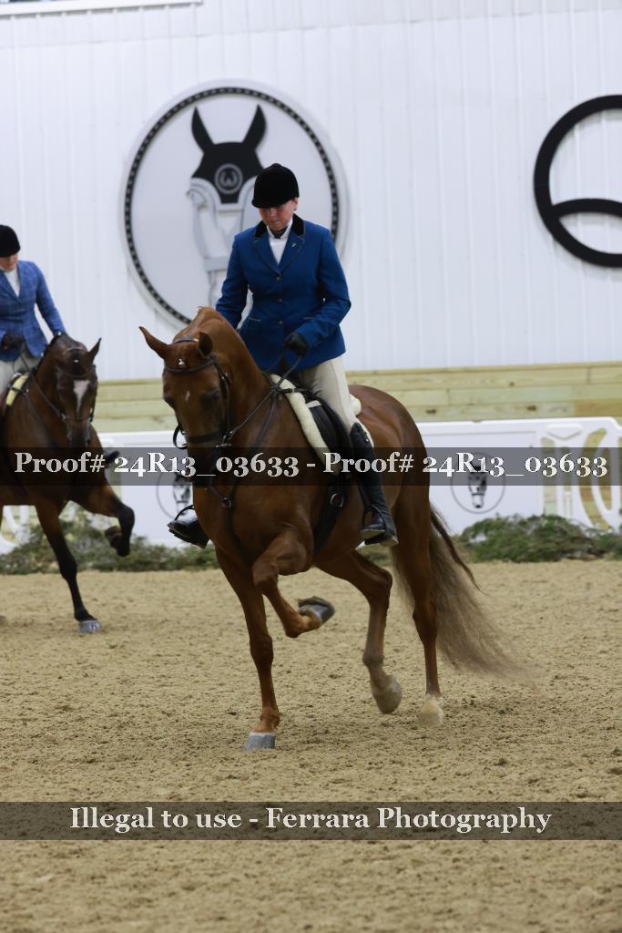 Proof 24R13_03633