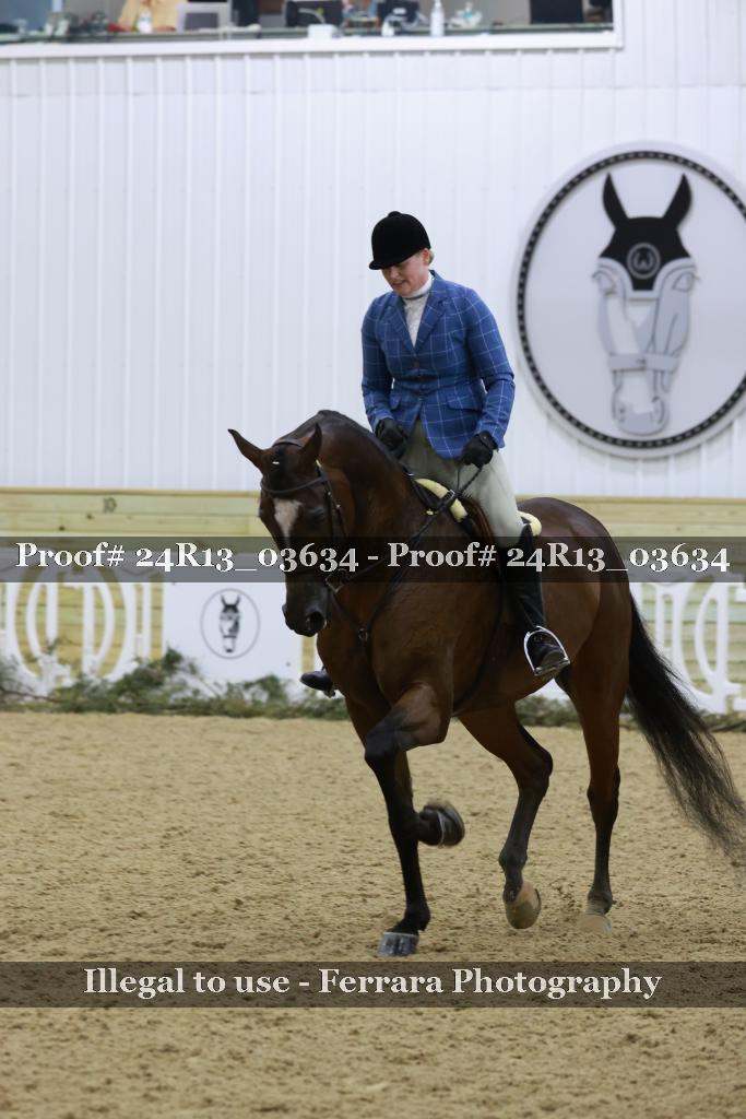 Proof 24R13_03634