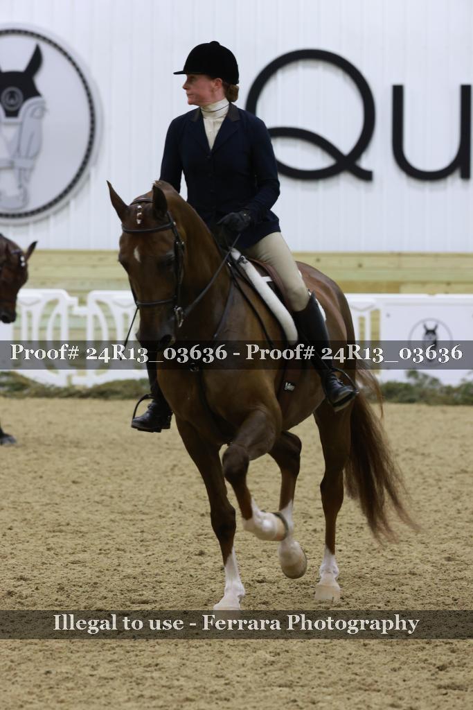 Proof 24R13_03636