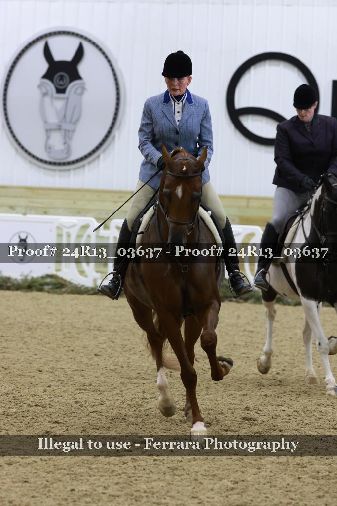 Proof 24R13_03637
