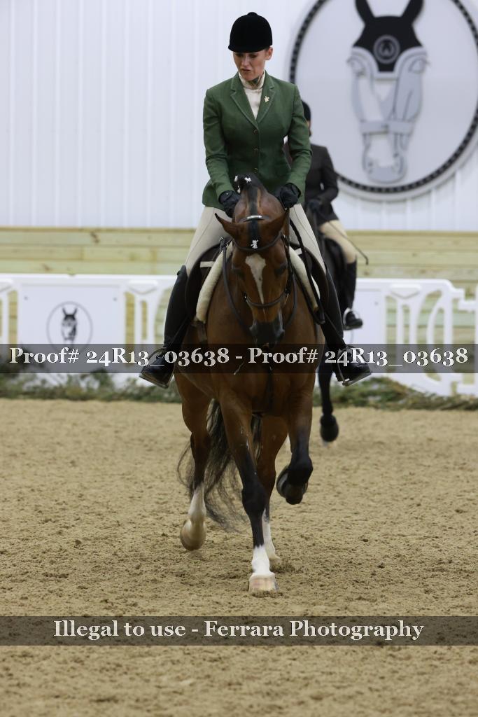Proof 24R13_03638